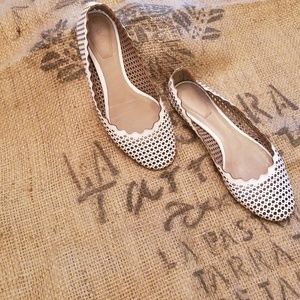 Chloe Scallop Flats SZ 5.5